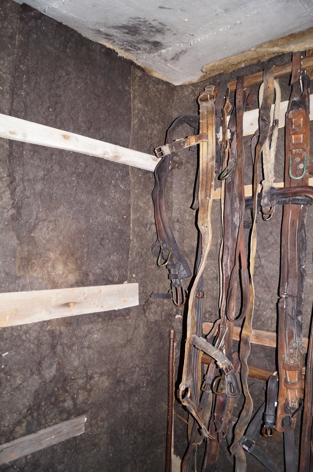 2012-13 Shackleton's 'Nimrod' hut inspection, interior (005)