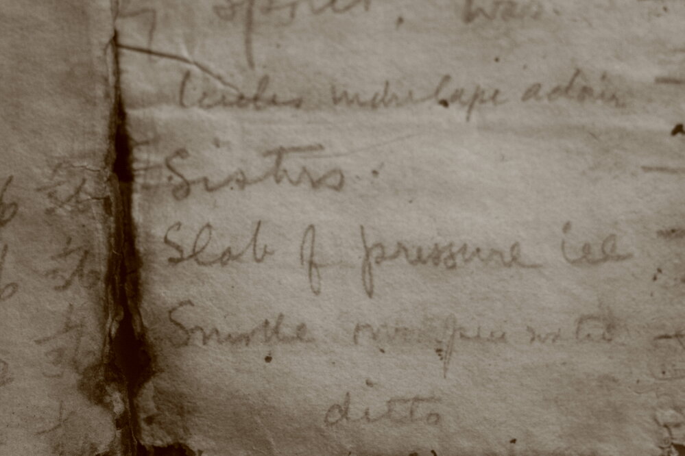 Levick journal found in melt water (007)