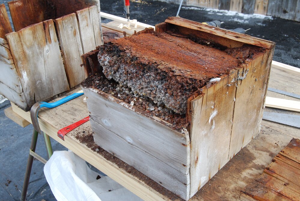 2007-08 Box undergoing repairs, Cape Royds (023)
