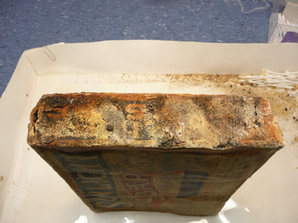 Sunlight' soap conservation (024)