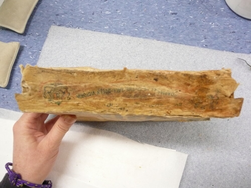 Sunlight' soap conservation (026)