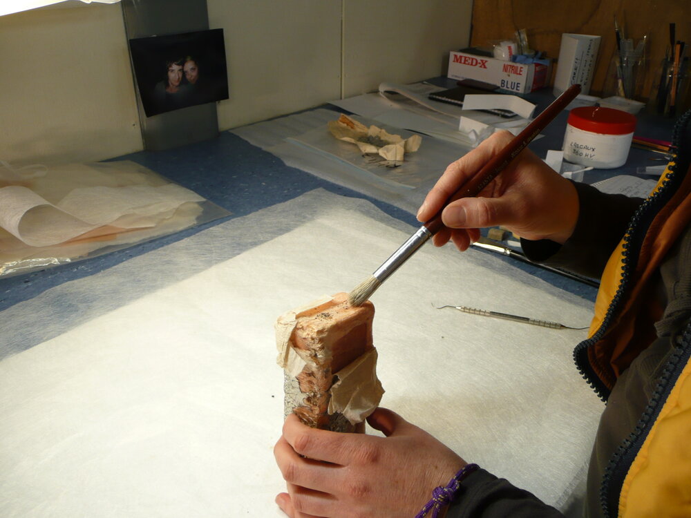 Sunlight' soap conservation (031)