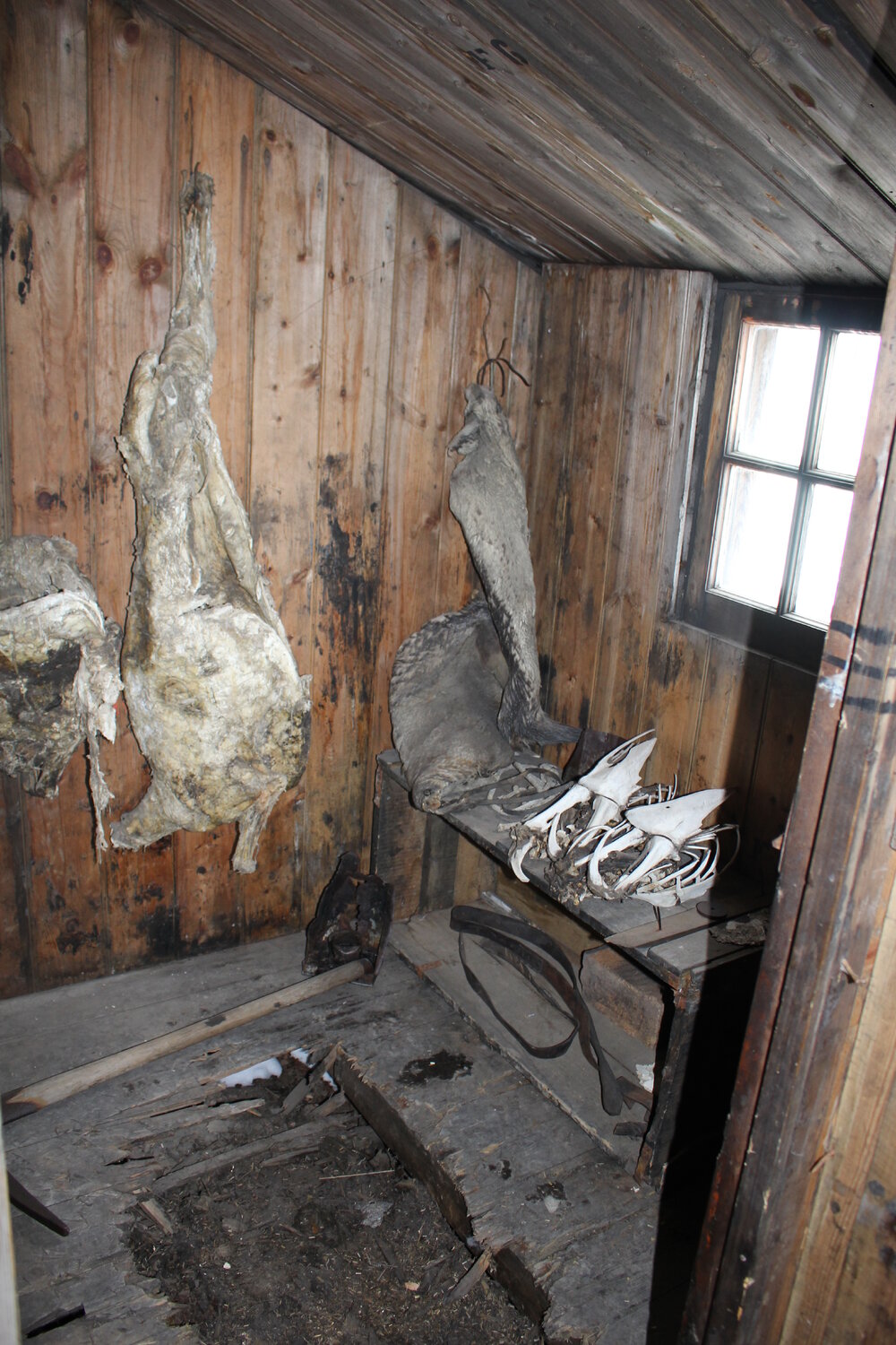 2017-18 Scott's 'Discovery' hut inspection, interior (003)