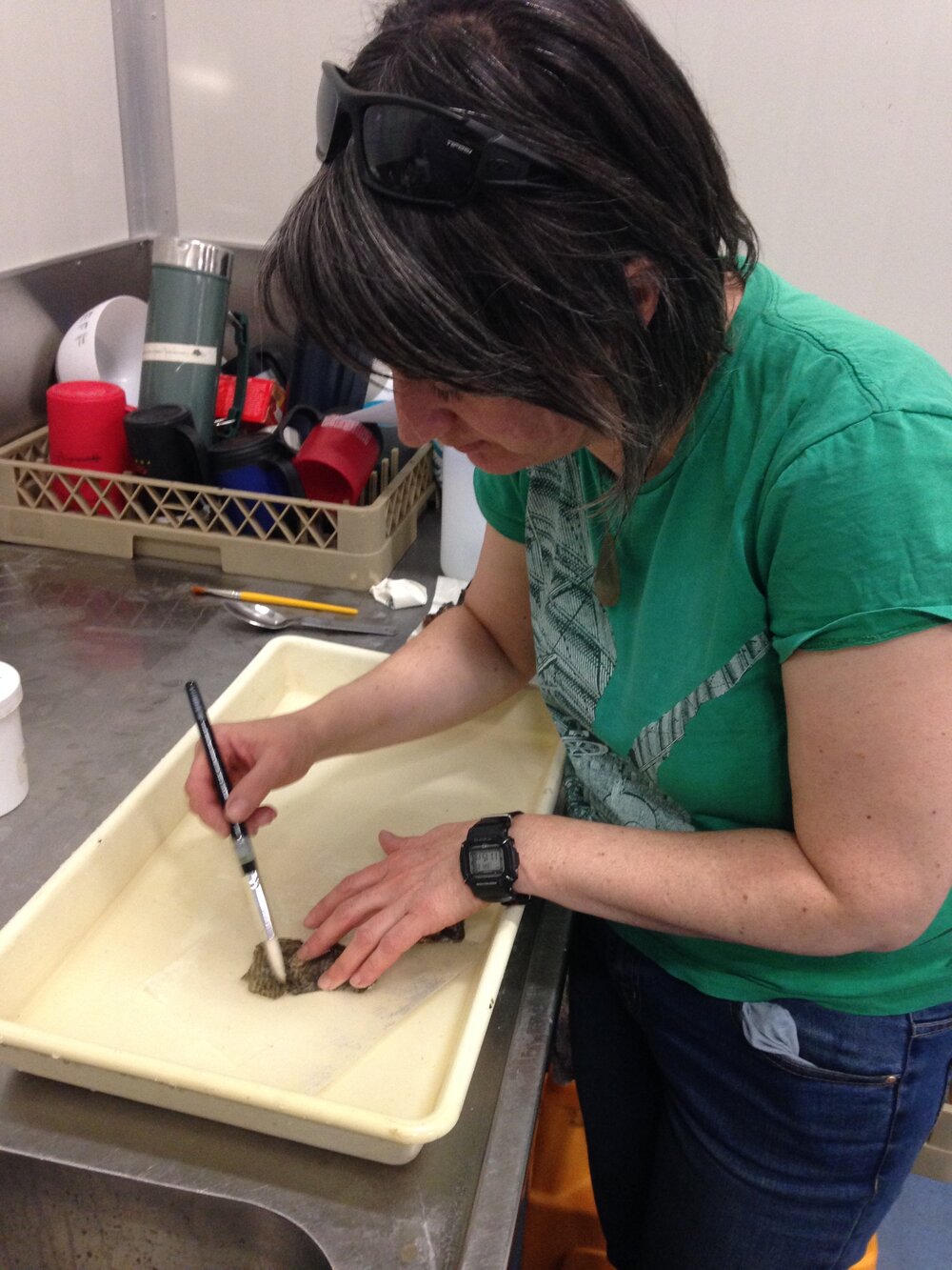 2017-18 Scott Base, conservators at work, AHT's Lizzie Meek