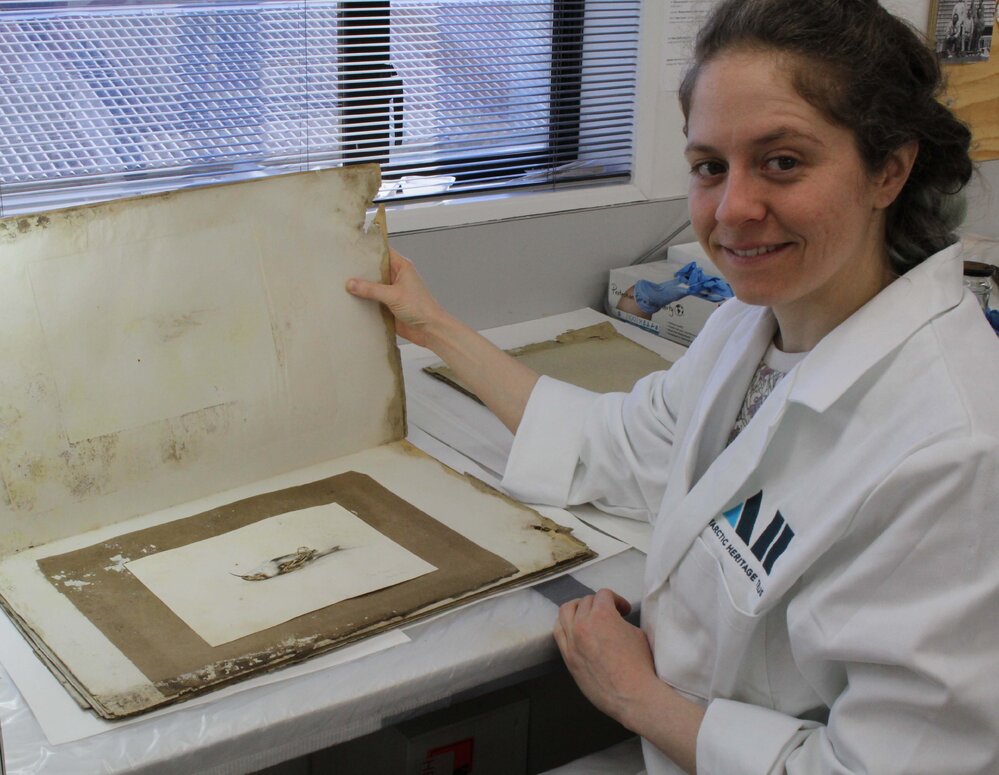 Josefin Bergmark-Jimenez uncovers Dr Edward Wilson's Tree Creeper watercolour