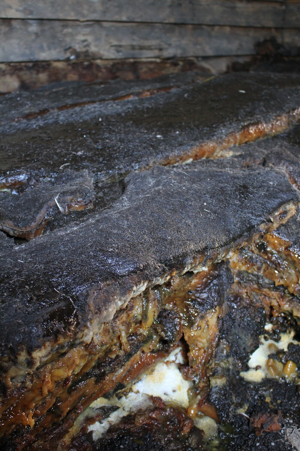 2018-19 Blubber stack inside Scott's 'Terra Nova' hut, Cape Evans (002)