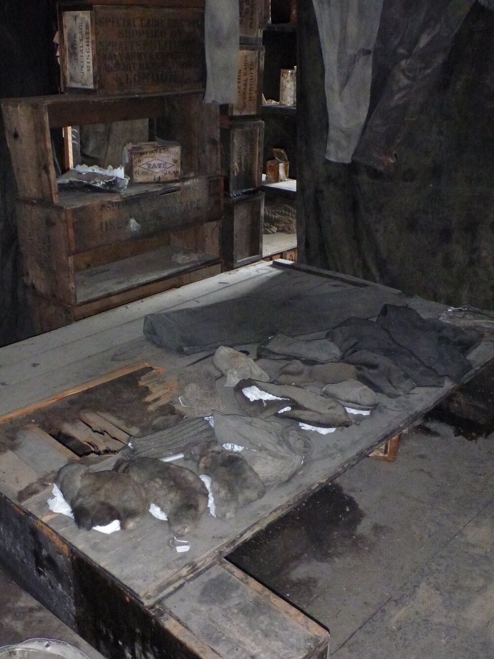 Bunks in stove area, Scott's 'Discovery' hut 