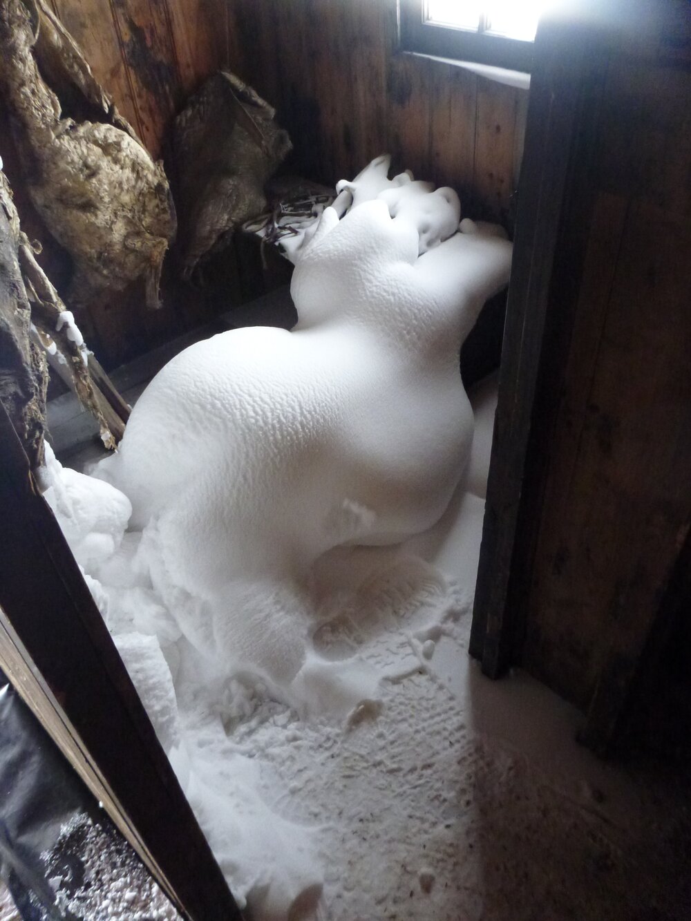 Snow ingress, store of Scott's 'Discovery' hut