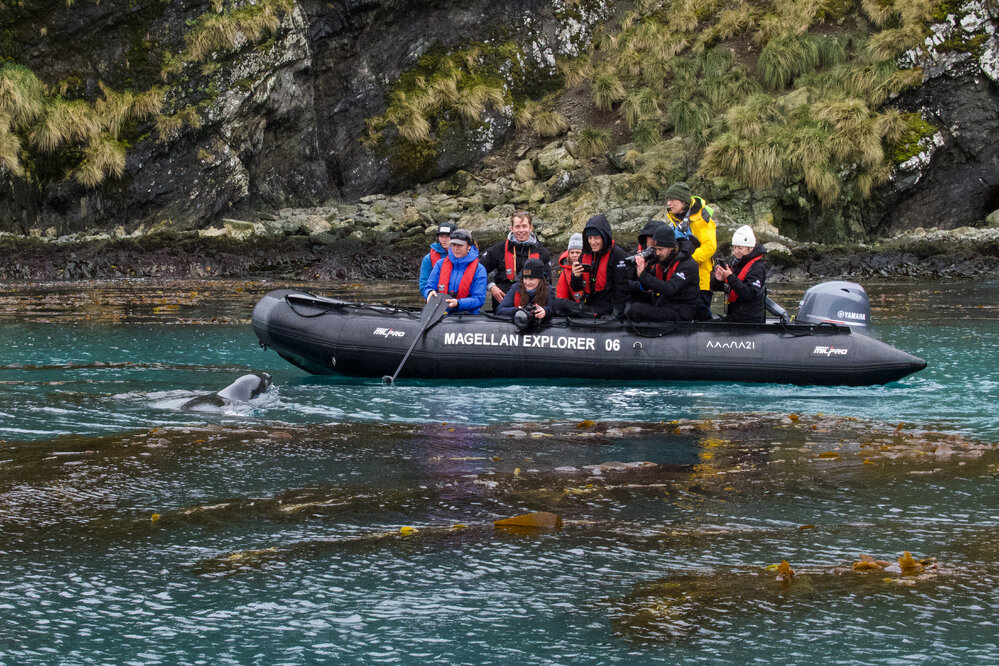 Inspiring Explorers and passengers meet a Leopard seal (001)