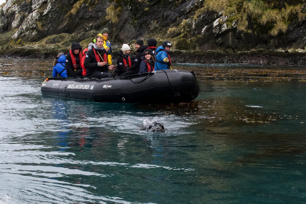 Inspiring Explorers and passengers meet a Leopard seal (004)