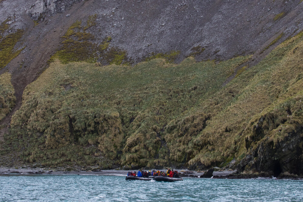 Inspiring Explorers and passengers in a Zodiac, Elsehul Bay