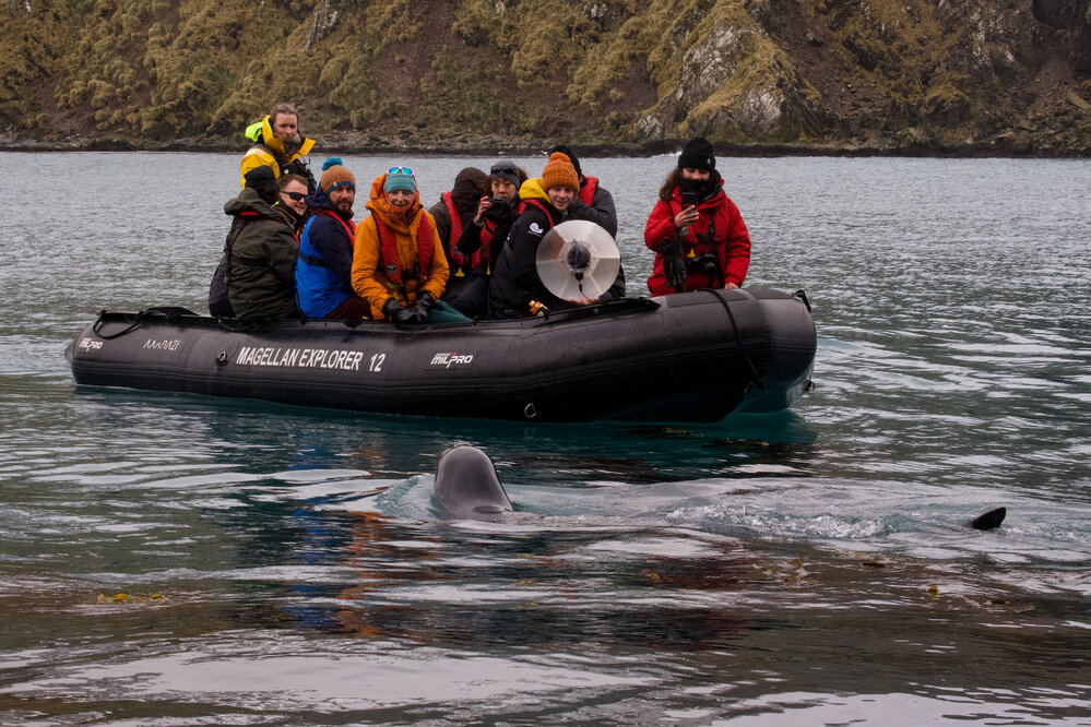 Inspiring Explorers and passengers meet a Leopard seal (005)