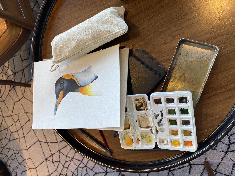 Inspiring Explorer Charlie Thomas' watercolour of a King penguin