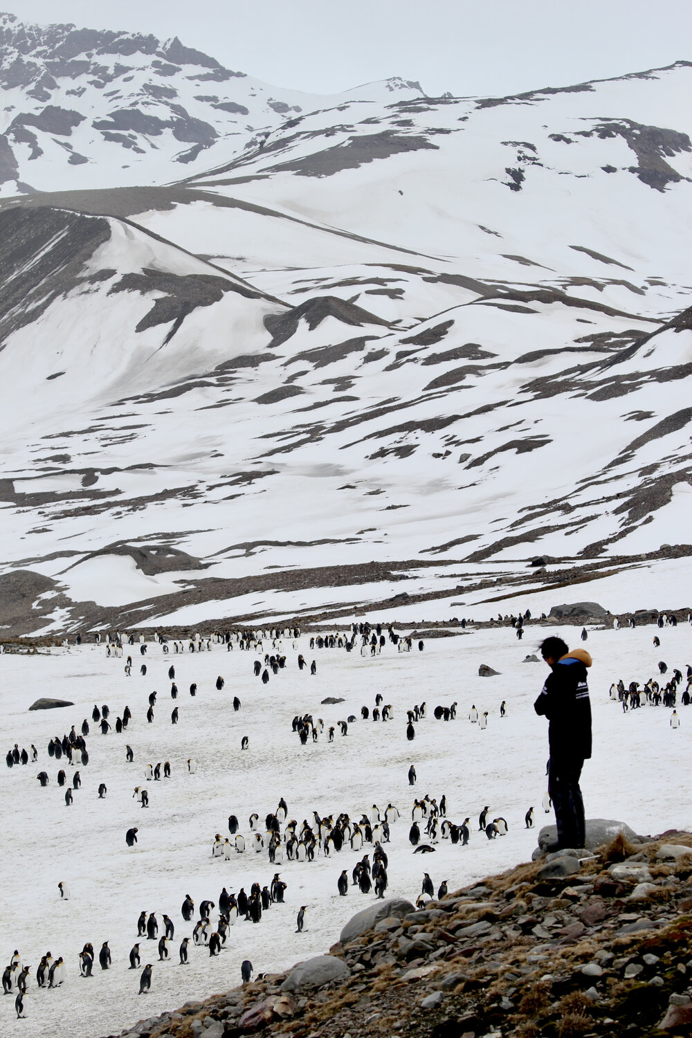 Inspiring Explorer Sasha Cheng at St Andrews Bay, South Georgia