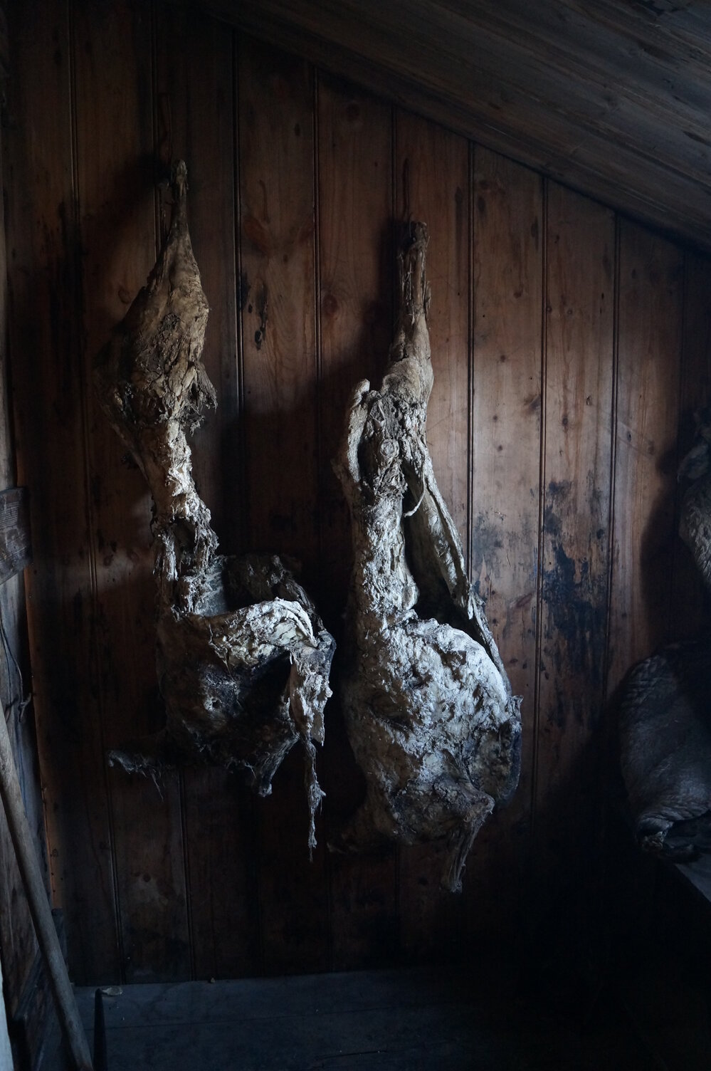 2014-15 Scott's 'Discovery' hut artefact repopulation, Store Room