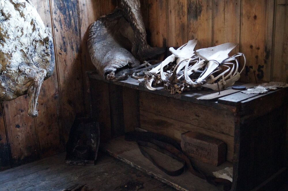 2014-15 Scott's 'Discovery' hut artefact repopulation, Store Room