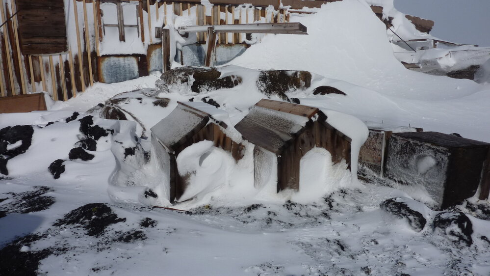 2010-11 Snow build-up outside Shackleton's 'Nimrod' hut, Cape Royds (002)