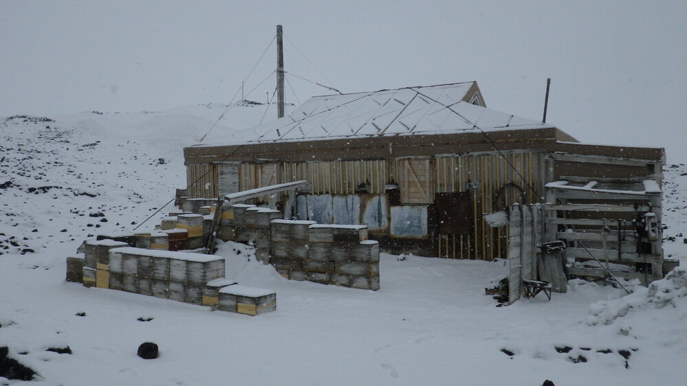 Shackleton's 'Nimrod' hut during snowfall