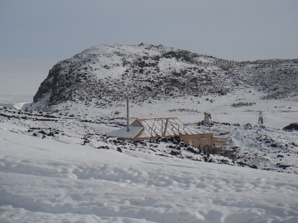 Fresh snow at Cape Royds (001)