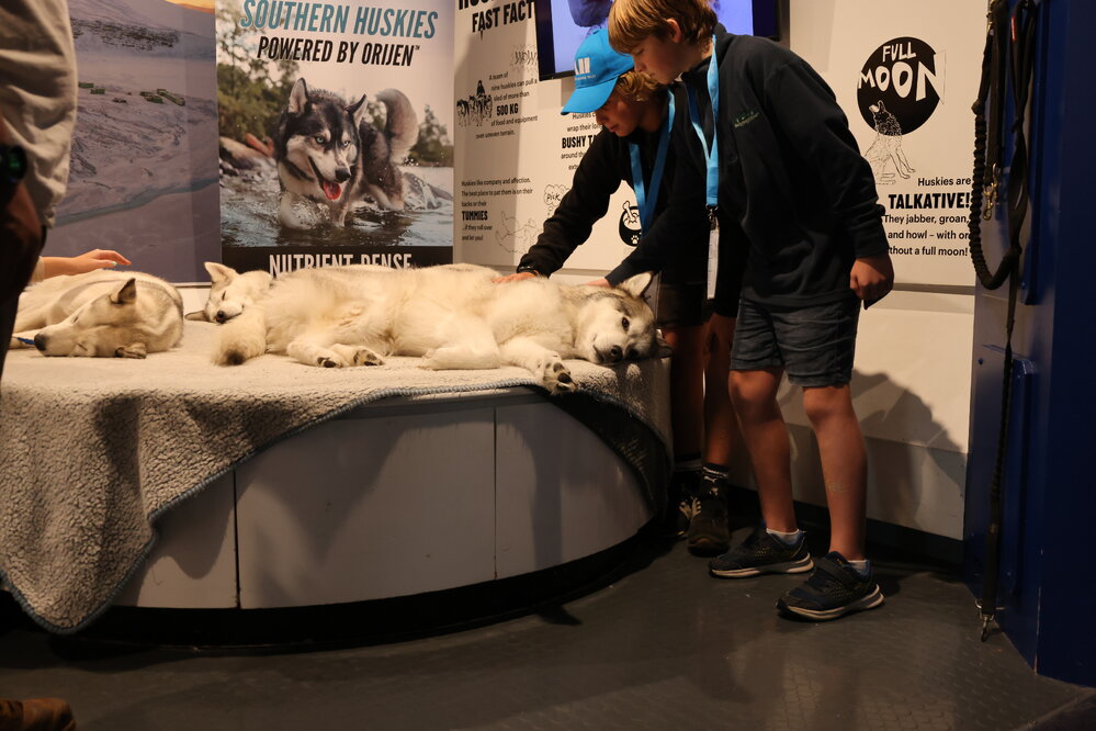 Young Inspiring Explorers Milan and Orlando meet a husky