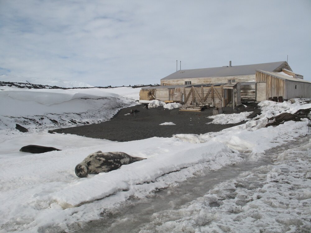 Seals, northWest elevation and latrines, Cape Evans
