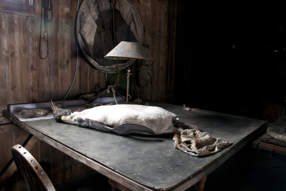 Chart table, Scott's 'Terra Nova' hut