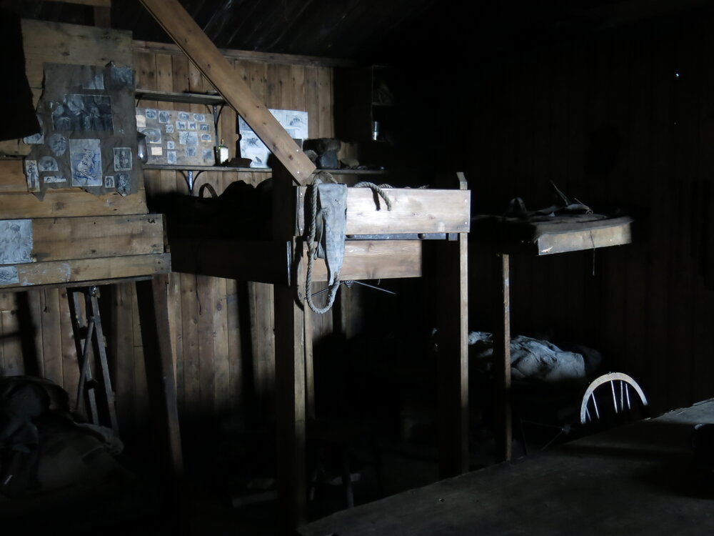 2014-15 Scott's 'Terra Nova' hut, interior, bunks of The Tenements