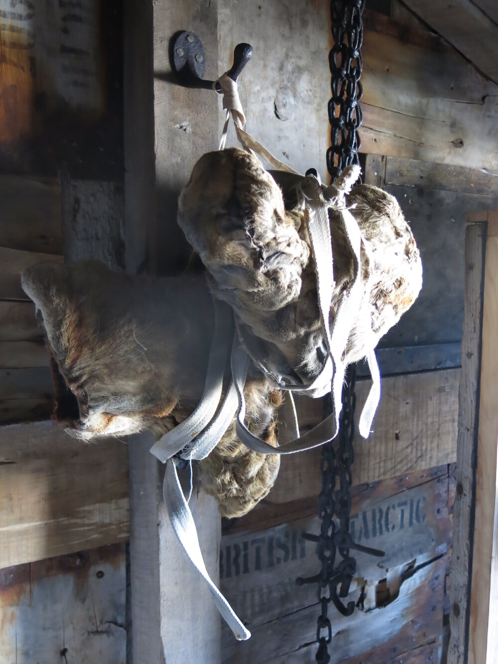 2014-15 Scott's 'Terra Nova' hut artefact monitoring, fixtures and fittings, boots on hook (002)