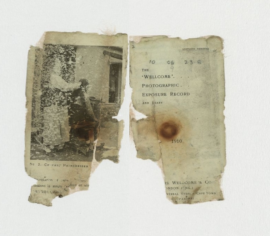 Levick's Notebook pages