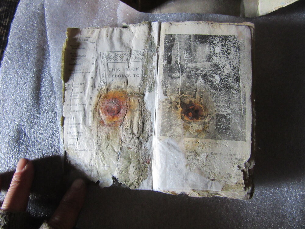 Levick's Notebook pages (039)