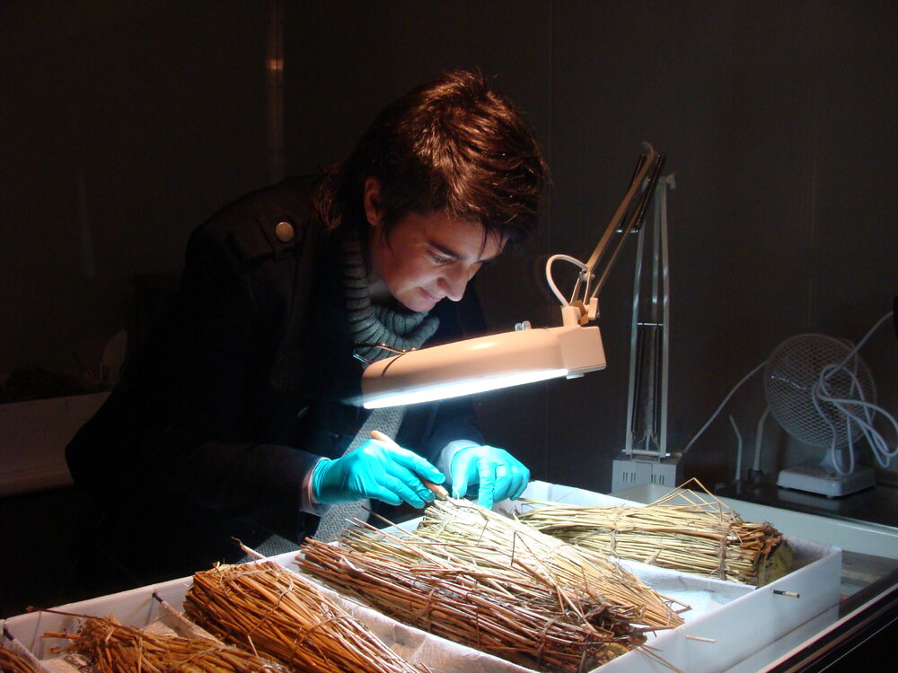 2010 Lizzie Meek working in the refrigerated container inside Canterbury Museum (004)