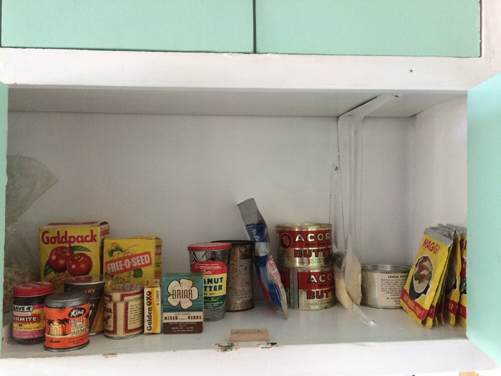 Kitchen shelves, Hillary's TAE/IGY hut (002)