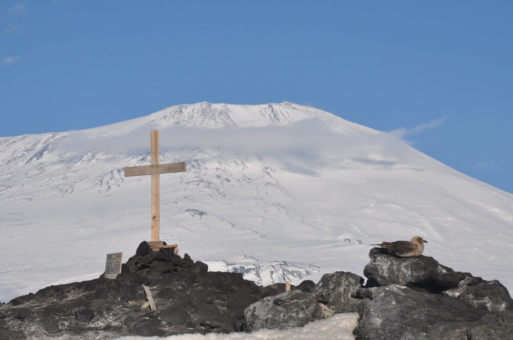 2013-14 Skua on Wind Vane Hill