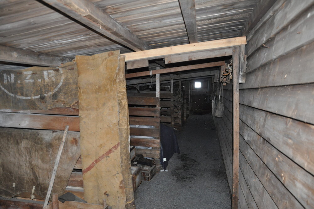 2013-14 Stables inside Scott's 'Terra Nova' hut, Cape Evans 
