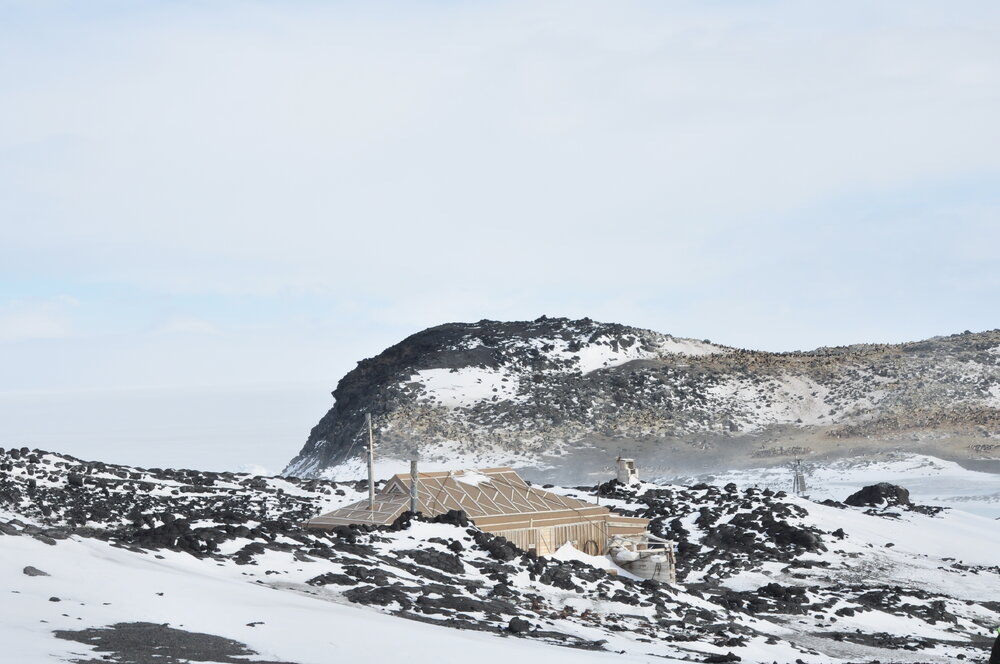 2013-14 Roof of Shackleton's 'Nimrod' hut visible on the approach