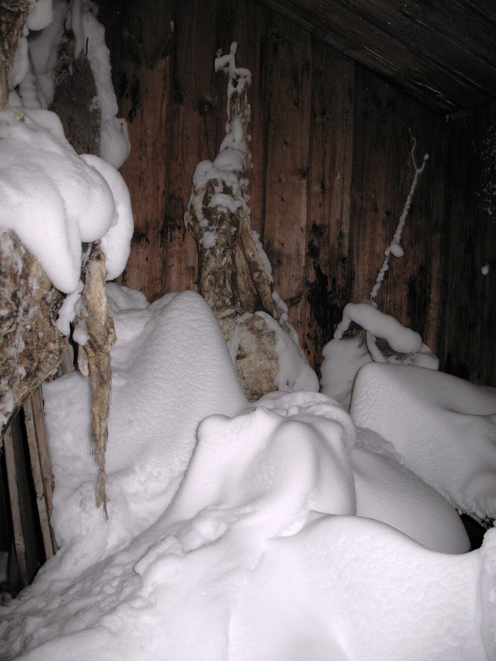 2009 Scott's 'Discovery' hut inspection, interior (021)