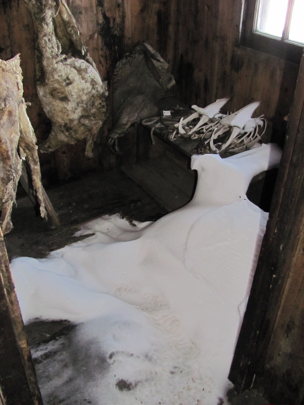2010-11 Scott's 'Discovery' hut inspection, interior (007)