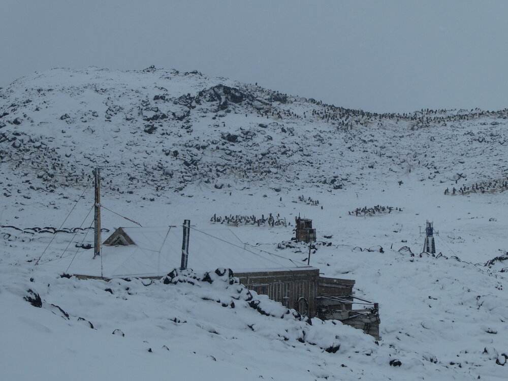 2022-23 Shackleton's 'Nimrod' hut in snow