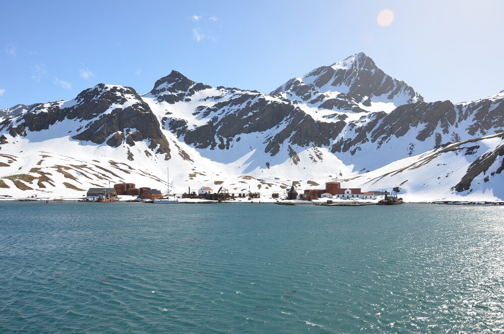 Grytviken