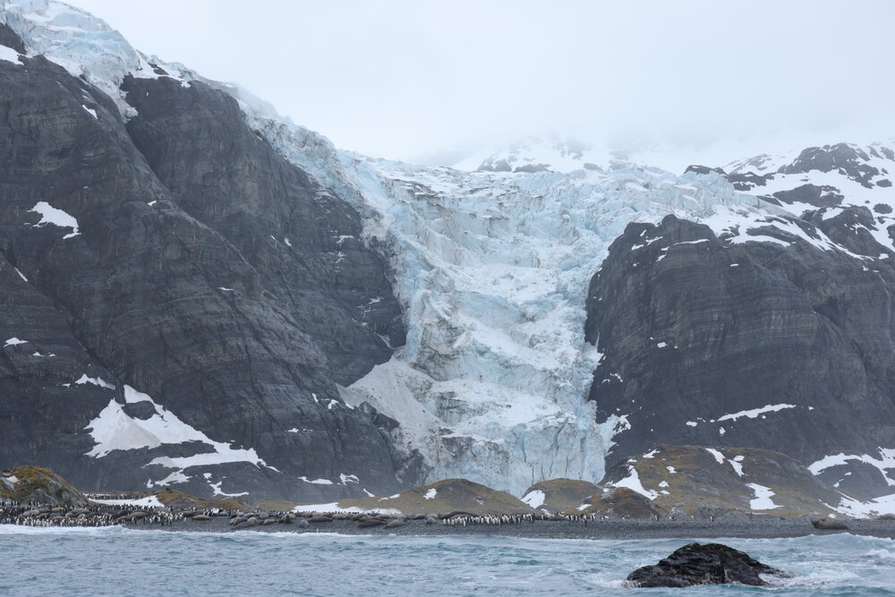 Coastline at Gold Harbour (002)