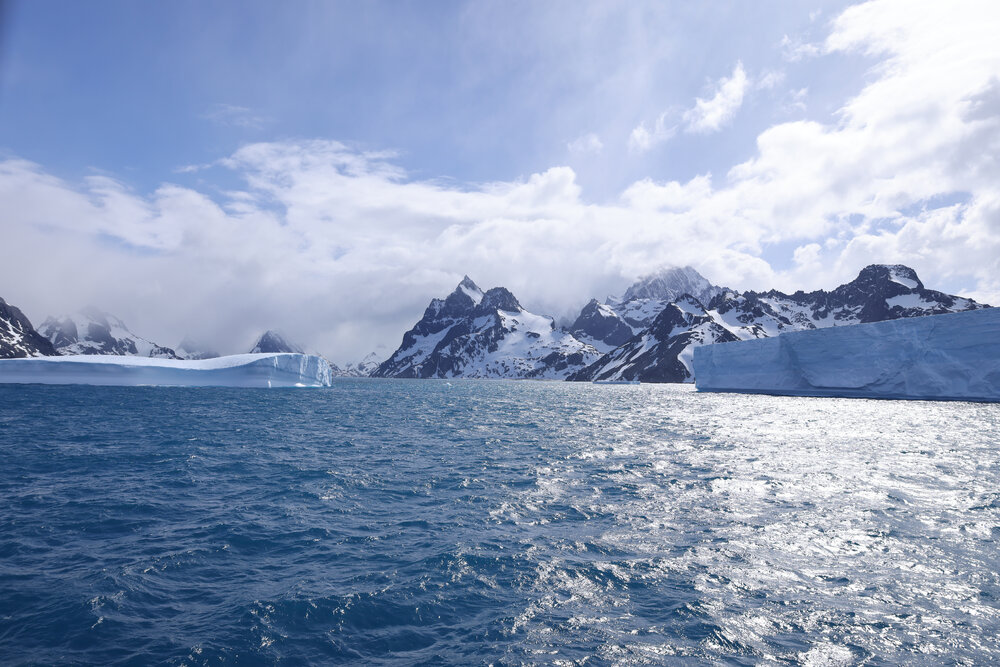Icebergs and Drygalski Fjord