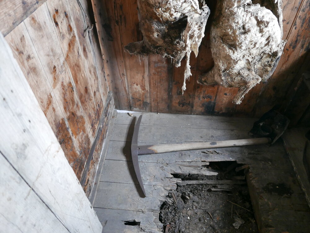 2018-19 Scott's 'Discovery' hut inspection, interior (011)