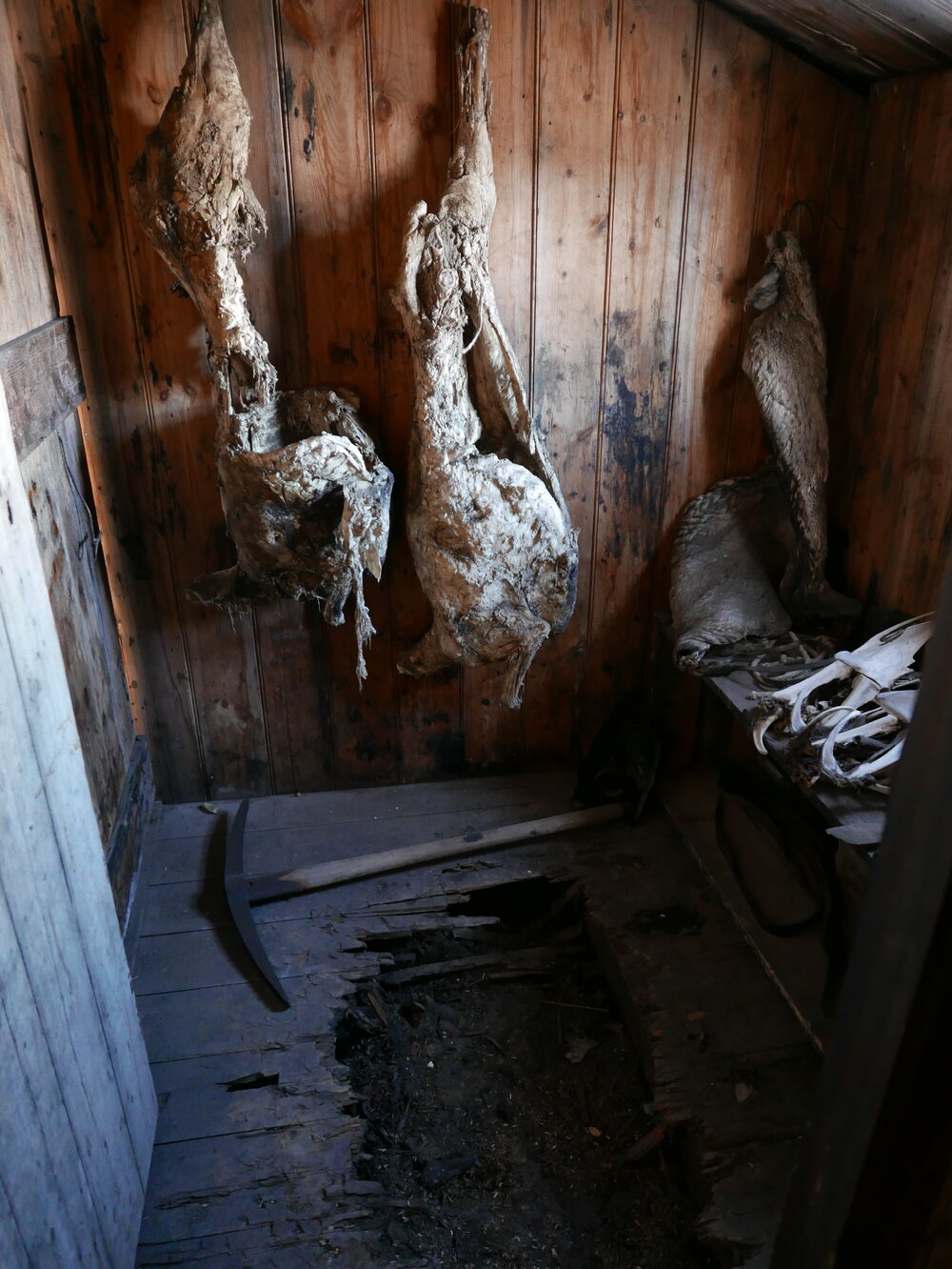 2018-19 Scott's 'Discovery' hut inspection, interior (050)