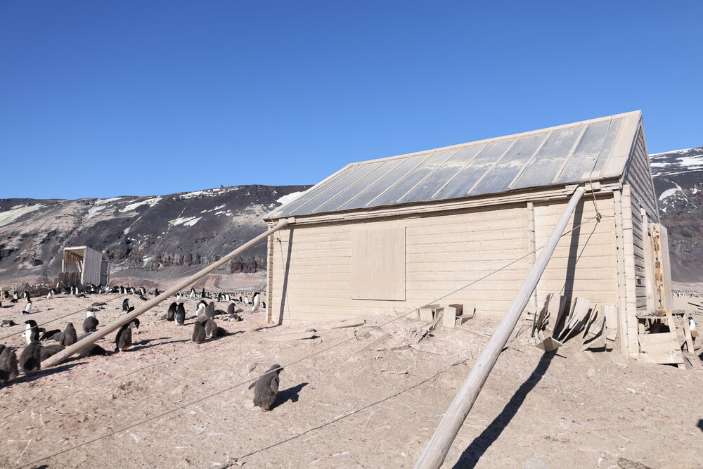 2025 Borchgrevink's hut at Cape Adare