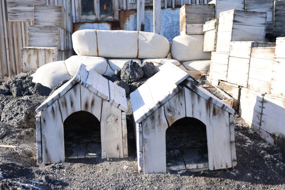 2025 Shackleton's 'Nimrod' hut, Cape Royds