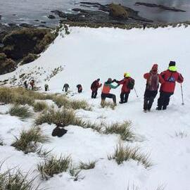 Cruise ship passengers being assisted by Inspiring Explorers