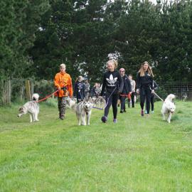 Young Inspiring Explorers walking Huskies at Husky Rescue NZ (007)