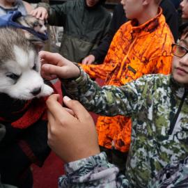 Young Inspiring Explorer Devon meets a Husky puppy (002)
