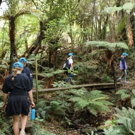 Young Inspiring Explorers on bush walk in Akaroa (028)
