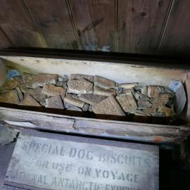 Dog biscuit box with displaced lid